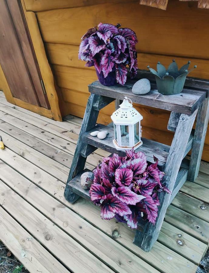 B&B Elaemys Aemmi Sauvo Buitenkant foto